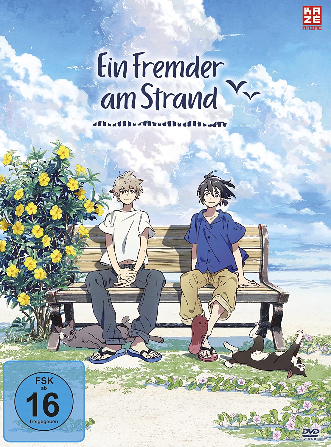 Ein Fremder am Strand (Limited Edition) [DVD]