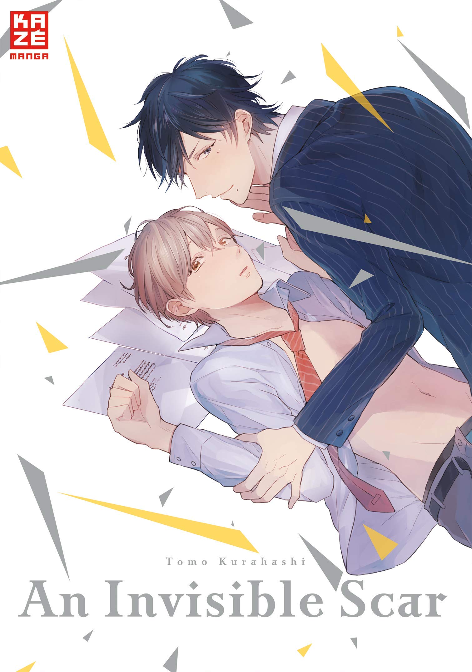An Invisible Scar Manga