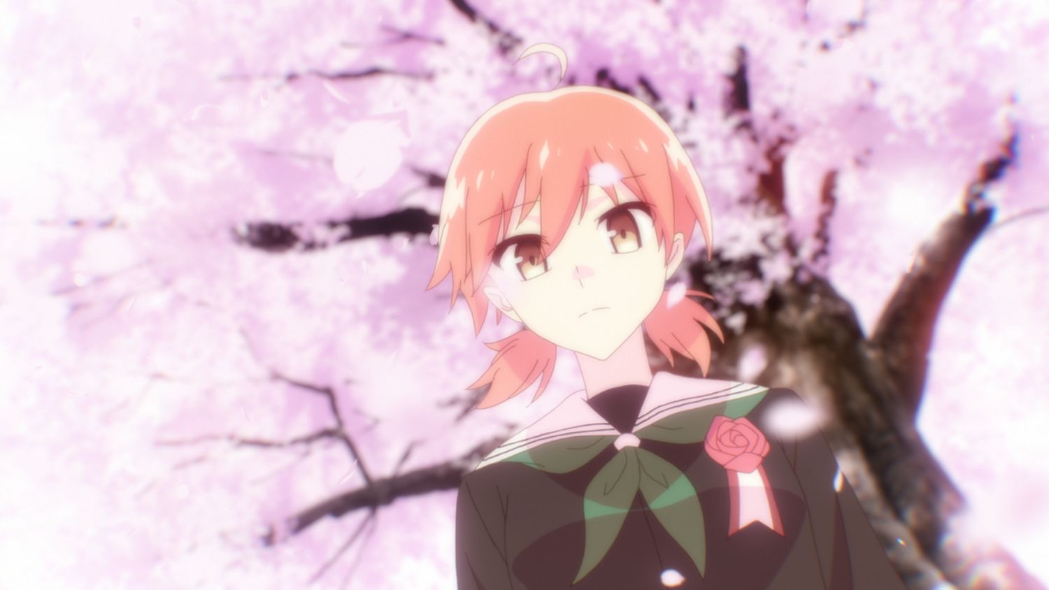 Bloom Into You - Die komplette Serie [3 Blu-rays]