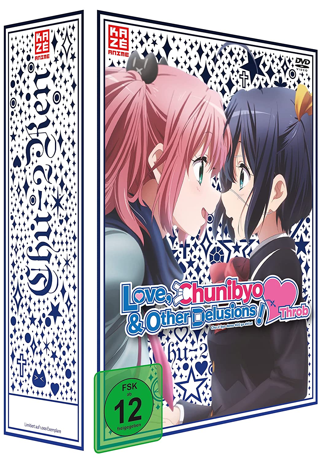 Love, Chunibyo & Other Delusions!: Heart Throb Gesamtausgabe (Collector's Edition) [4 DVDs]