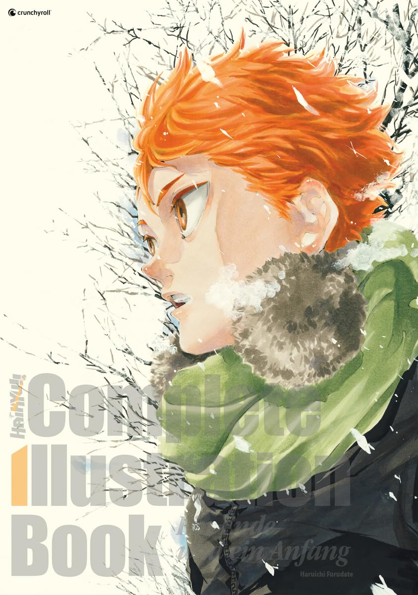 Haikyu!! Complete Illustration Book - Ein Ende und ein Anfang [Artbook]