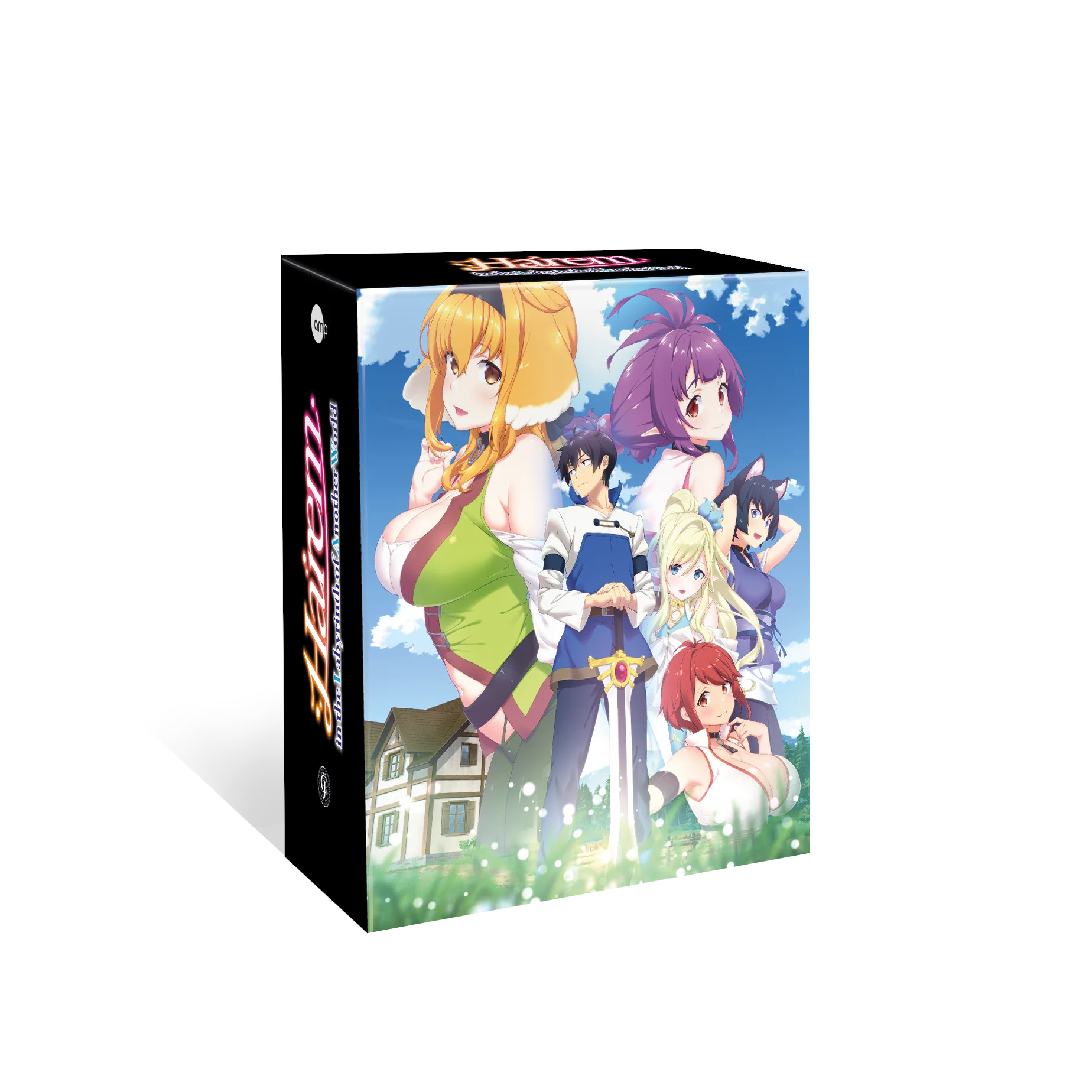 Harem in the Labyrinth of Another World - Volume 01 & Schuber (Limited Edition) [Blu-ray]
