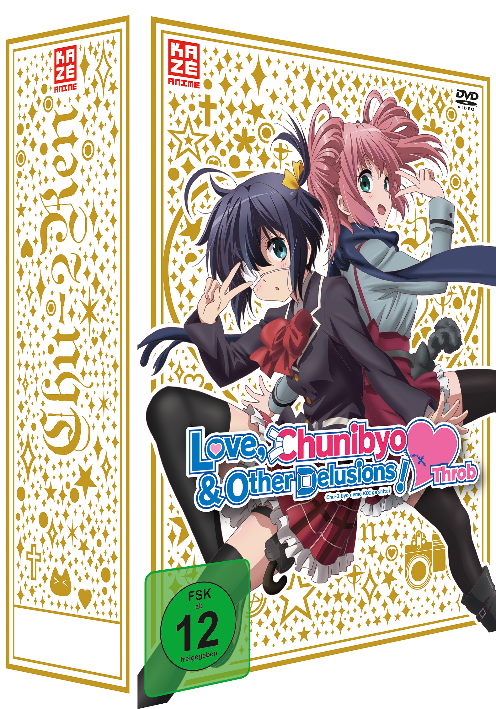Love, Chunibyo & Other Delusions!: Staffel 2 - Gesamtausgabe Box (Limited) [4 DVDs]